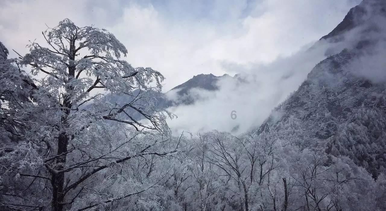地铁：最后的曙光